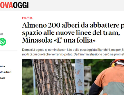 Almeno 200 alberi da abbattere per fare spazio alle nuove linee del tram, Minasola: “E’ una follia”